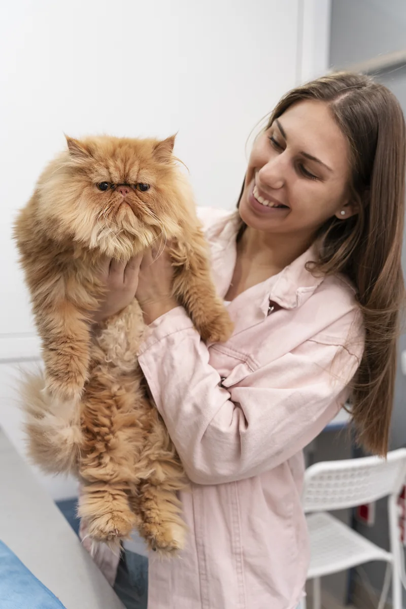 Groomer sonriendo con un gato persa en brazos