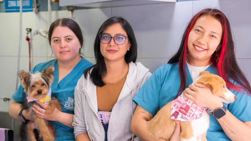 Equipo de Guau Station: tres mujeres con un yorkie y un cachorro en el spa