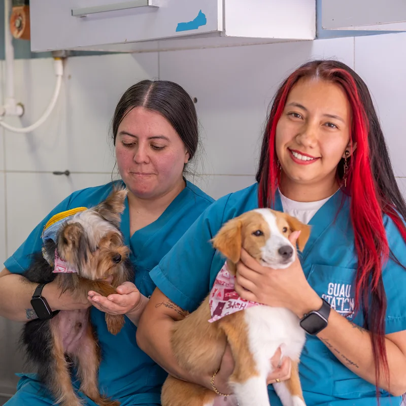 Equipo de groomers de Guau Station con un yorkie y un cachorro